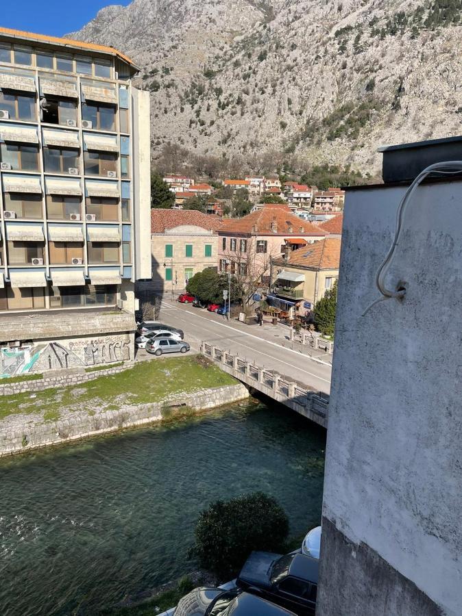 Downtown Cattaro
